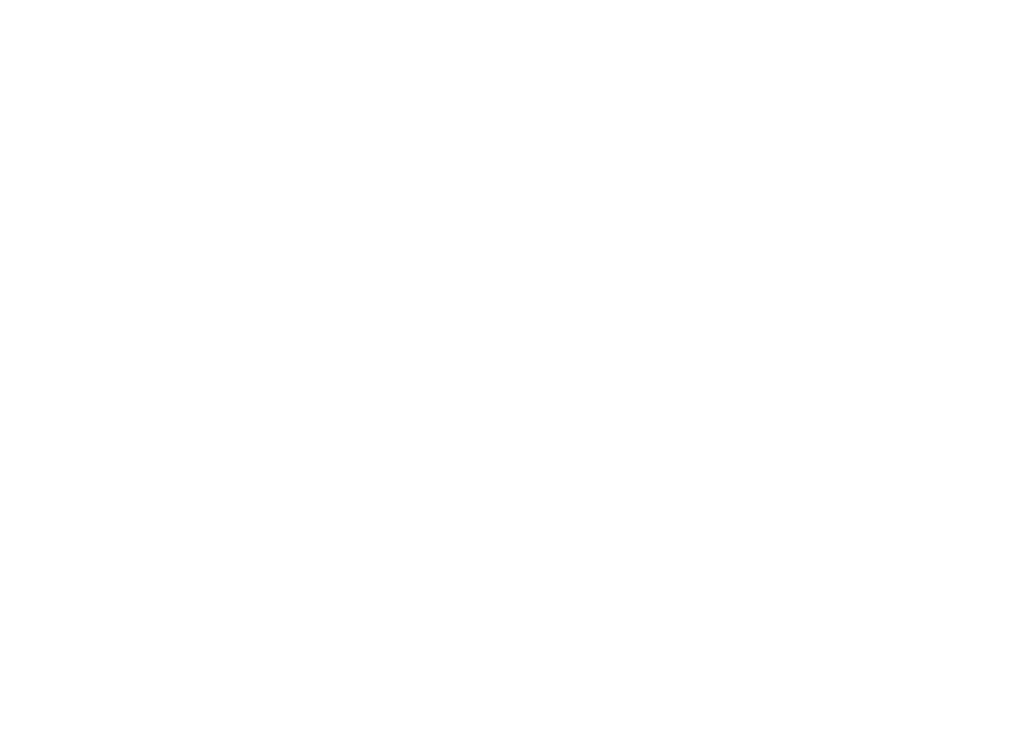 Vision Force